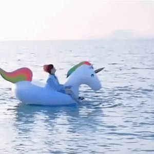 Meet your Posher, Hân